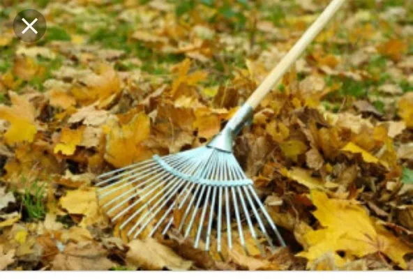 Rush Lawn Maintenance Logo