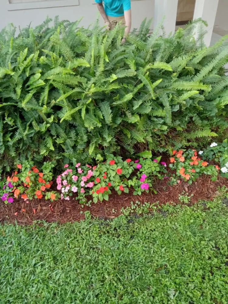 Local garden landscaping experts serving Clewiston, FL - Rush S.L Services