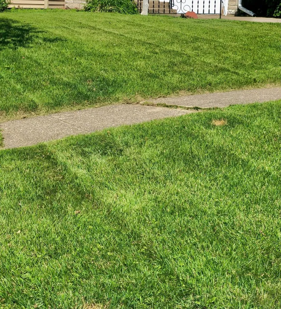 Professional lawn care service in Rockford, IL - Rushb Lawn Care