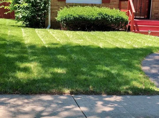 Rushb Lawn Care Logo