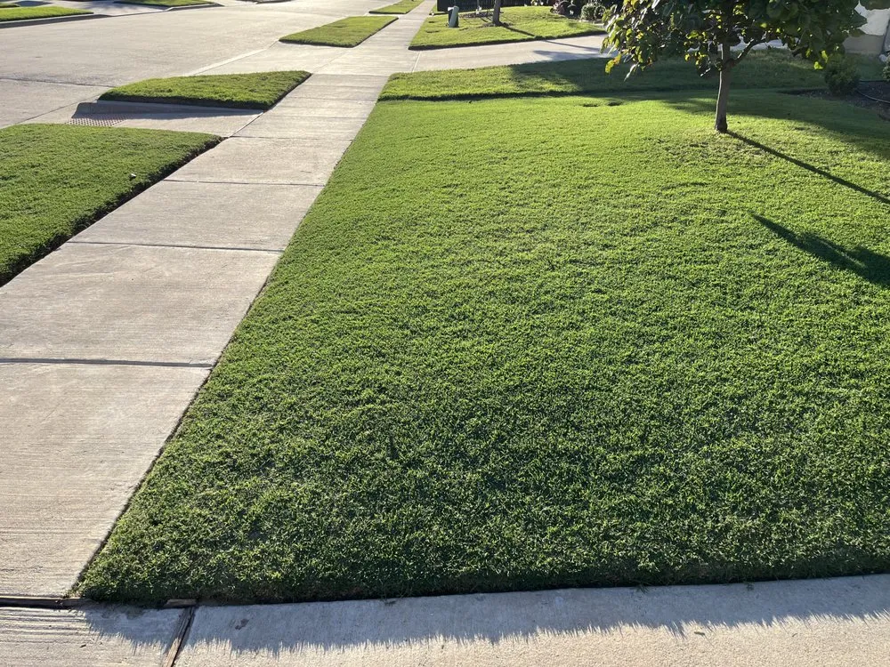 Reliable lawn care service in McKinney, TX - Rushcutters Lawn