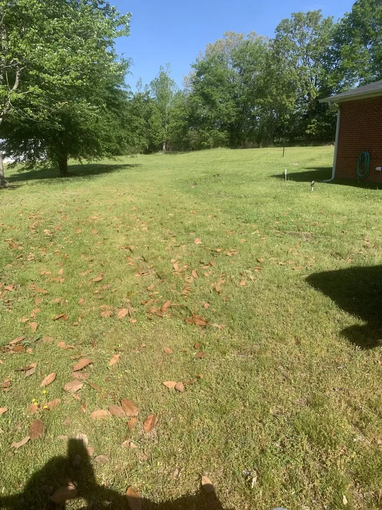 Expert yard maintenance in Water Valley, MS by Rushing Lawn Care