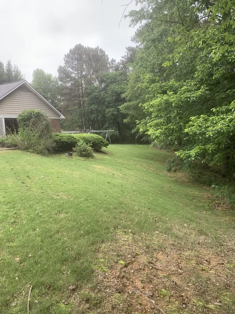 Local landscaping services for outdoor upgrades in Water Valley, MS by Rushing Lawn Care