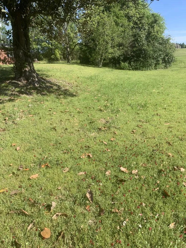 Expert landscape design in Water Valley, MS by Rushing Lawn Care