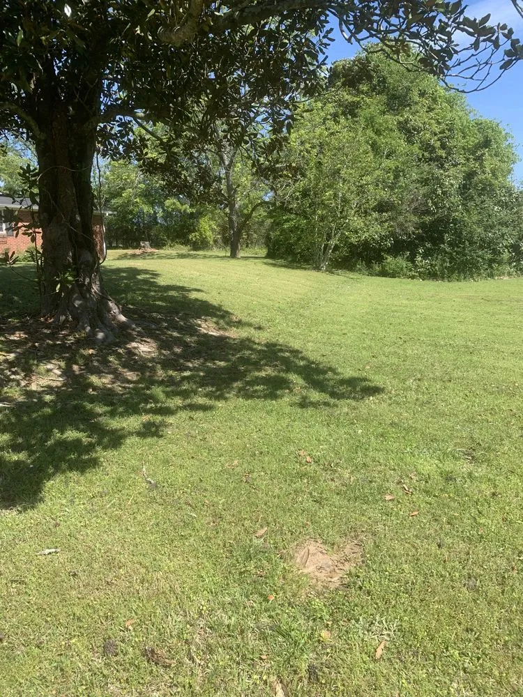 Professional yard cleanup service for residential properties in Water Valley, MS by Rushing Lawn Care