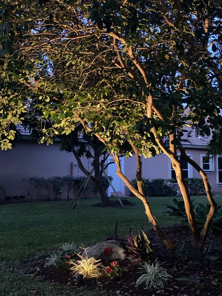 Local yard cleanup service experts serving Pompano Beach, FL - Rushing Winds Landscaping