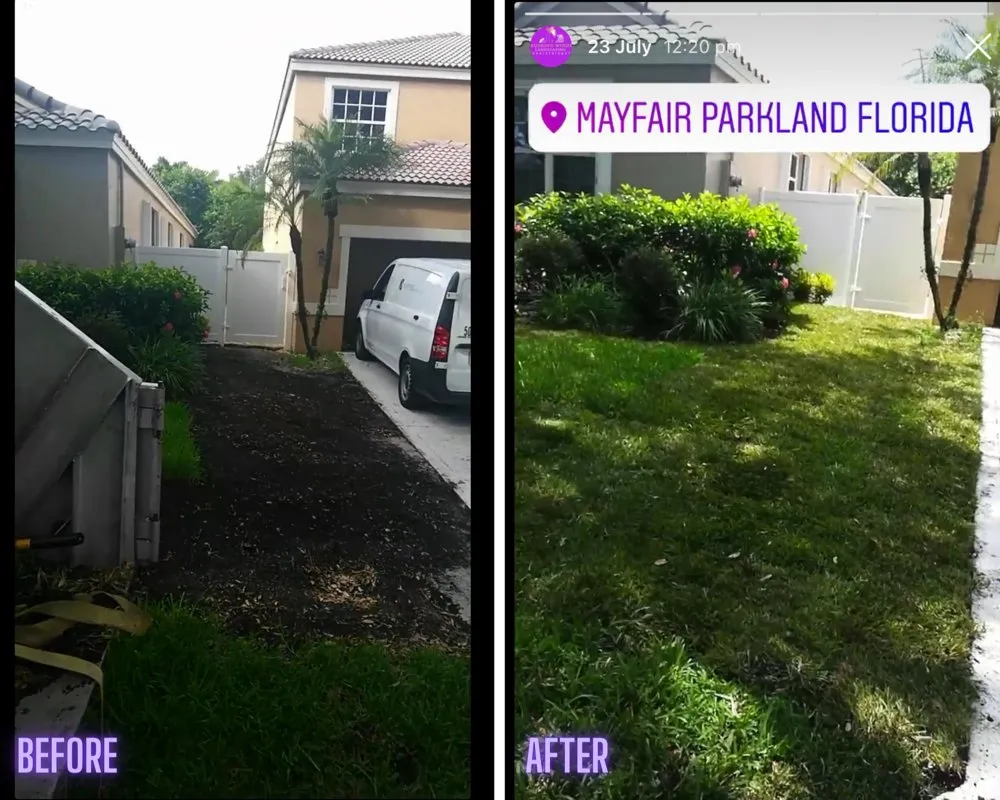Top-rated residential landscaping in Pompano Beach, FL - Rushing Winds Landscaping