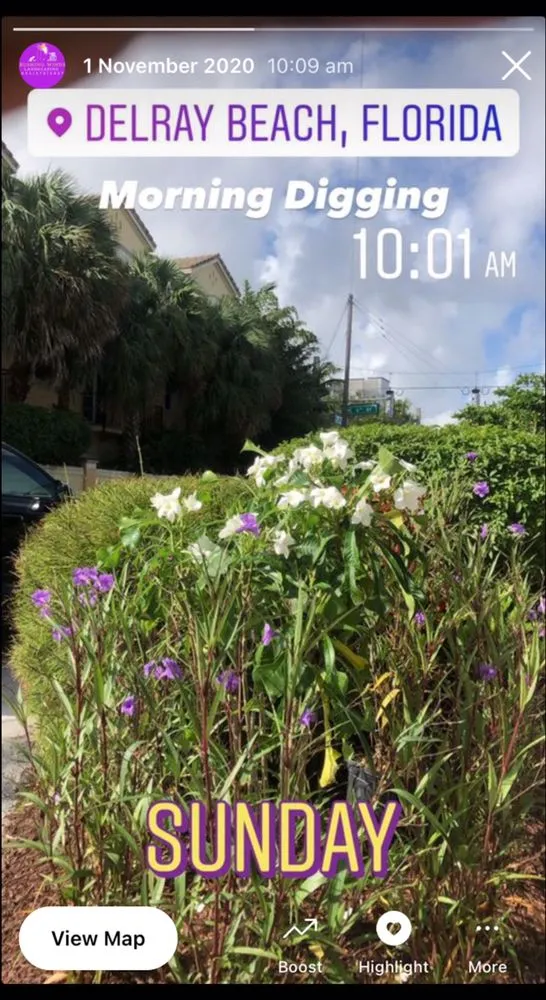 Custom lawn mowing service in Pompano Beach, FL by Rushing Winds Landscaping