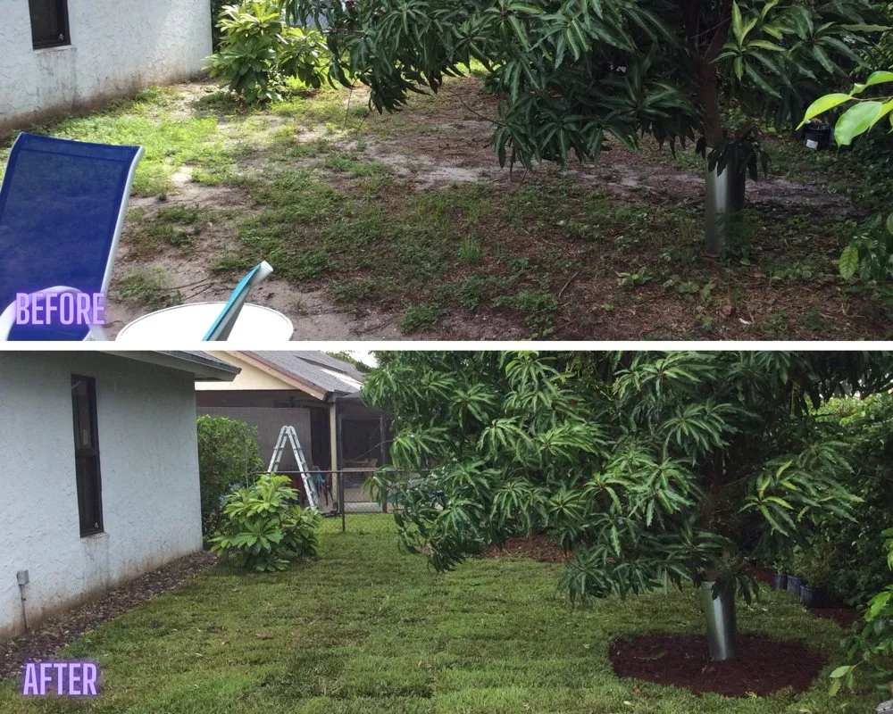 Local landscaping services in Pompano Beach, FL - Rushing Winds Landscaping