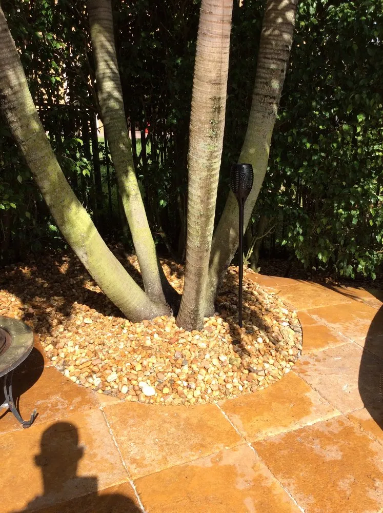 Custom landscape installation in Pompano Beach, FL by Rushing Winds Landscaping