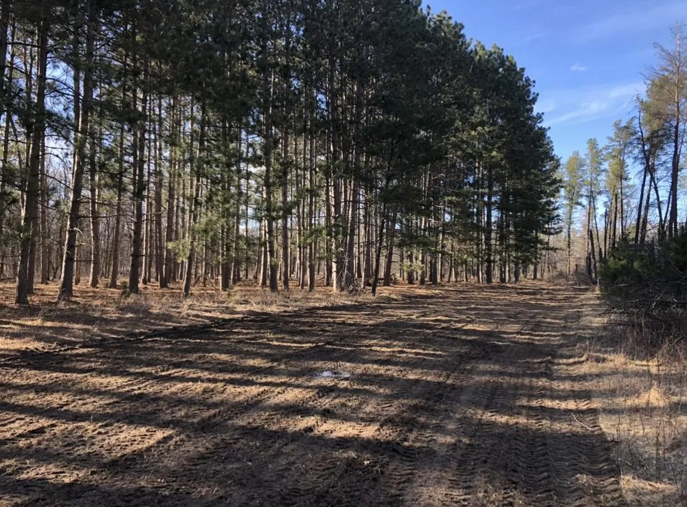 Custom lawn care service for beautiful yards across Motley, MN - Rushmeyer Land Production and Management