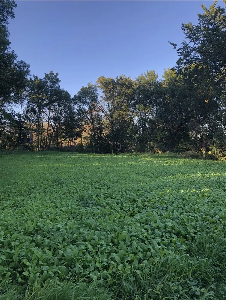 Top-rated residential landscaping for beautiful yards across Motley, MN - Rushmeyer Land Production and Management