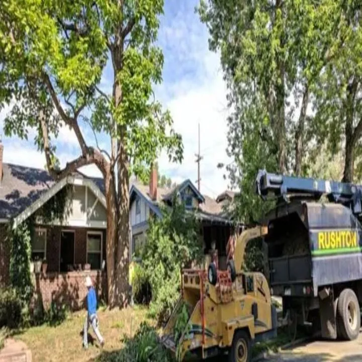 Custom garden landscaping in Castle Rock, CO by Rushton Tree Service
