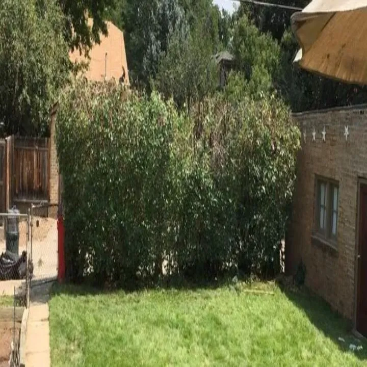 Top-rated residential landscaping experts serving Castle Rock, CO - Rushton Tree Service