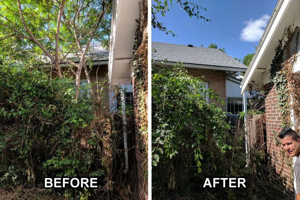 Local lawn care service in Castle Rock, CO by Rushton Tree Service