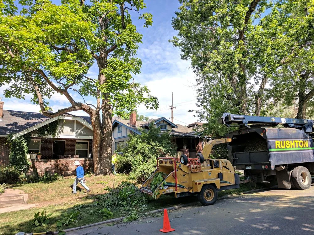 Expert landscape design experts serving Castle Rock, CO - Rushton Tree Service