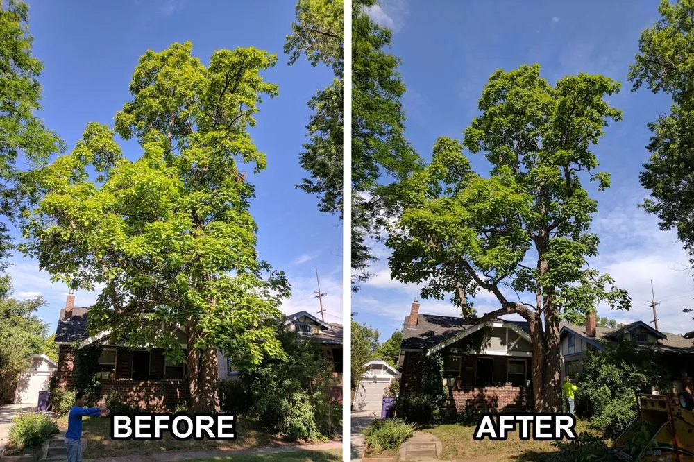 Local outdoor landscaping near you across Castle Rock, CO - Rushton Tree Service