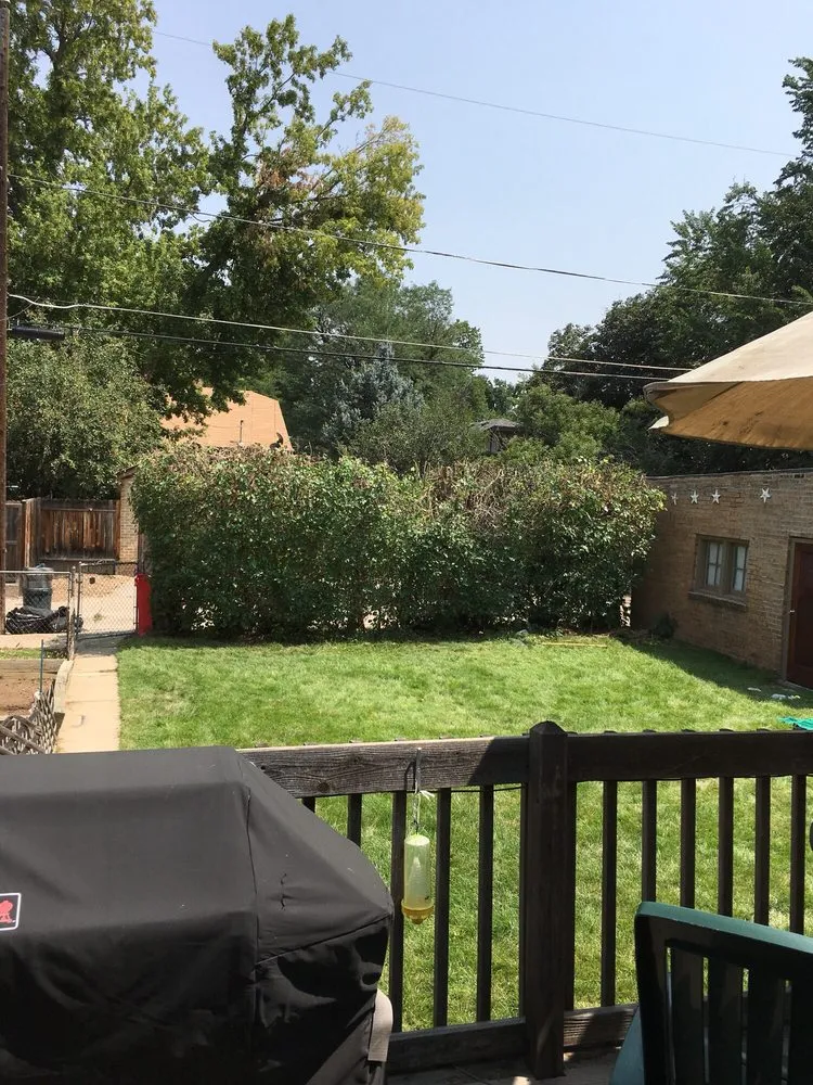 Reliable lawn care service experts serving Castle Rock, CO - Rushton Tree Service