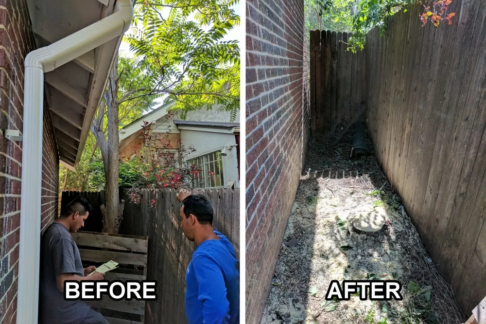 Local yard cleanup service for residential properties across Castle Rock, CO - Rushton Tree Service