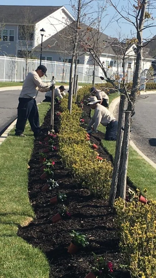 Top-rated yard cleanup service in Nesconset, NY by Russ Fragala Landscape Corp