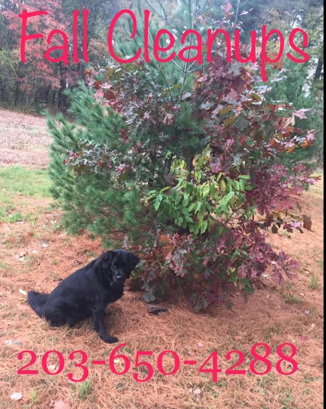 Custom outdoor landscaping in Shelton, CT by Russ Landscape Services