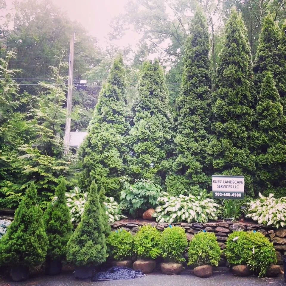 Professional outdoor landscaping in Shelton, CT by Russ Landscape Services