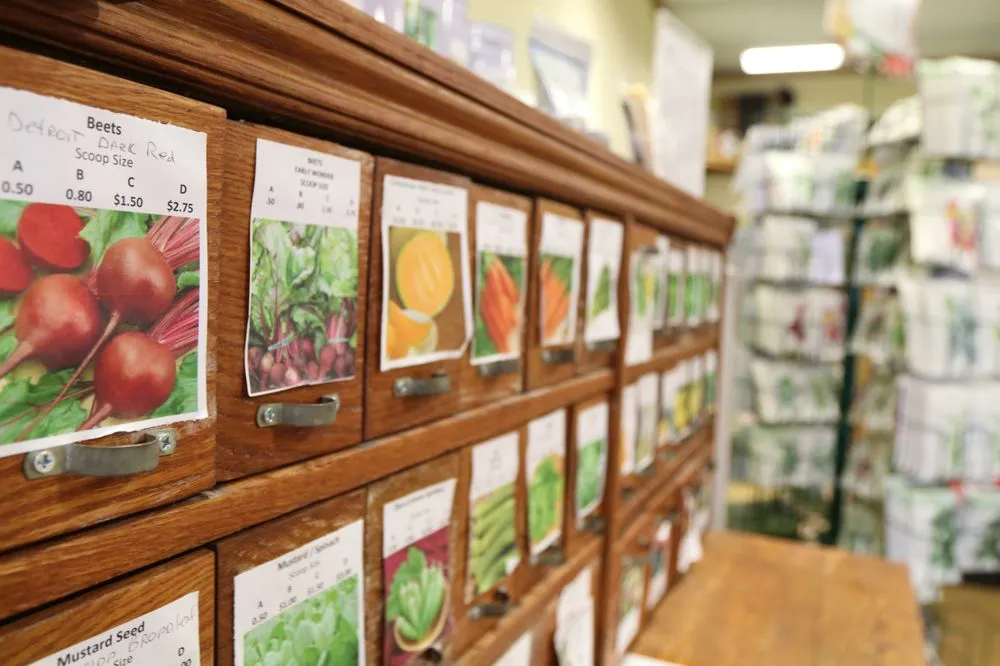 Affordable lawn mowing service in Decatur, TX - Russell Feed & Supply