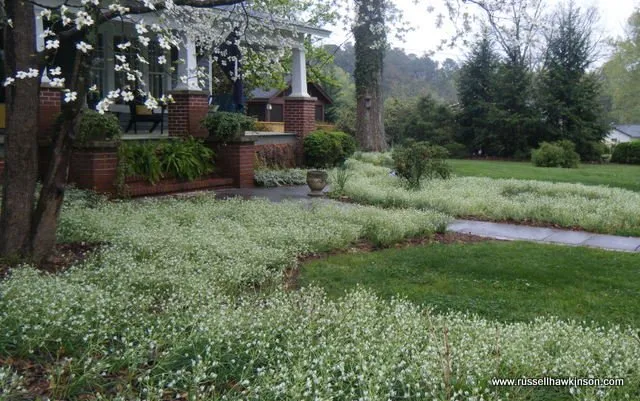 Professional landscape design in Cartersville, GA by Russell Hawkinson Landscape Design