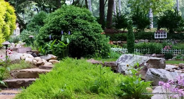 Trusted yard maintenance for year-round maintenance in Cartersville, GA by Russell Hawkinson Landscape Design