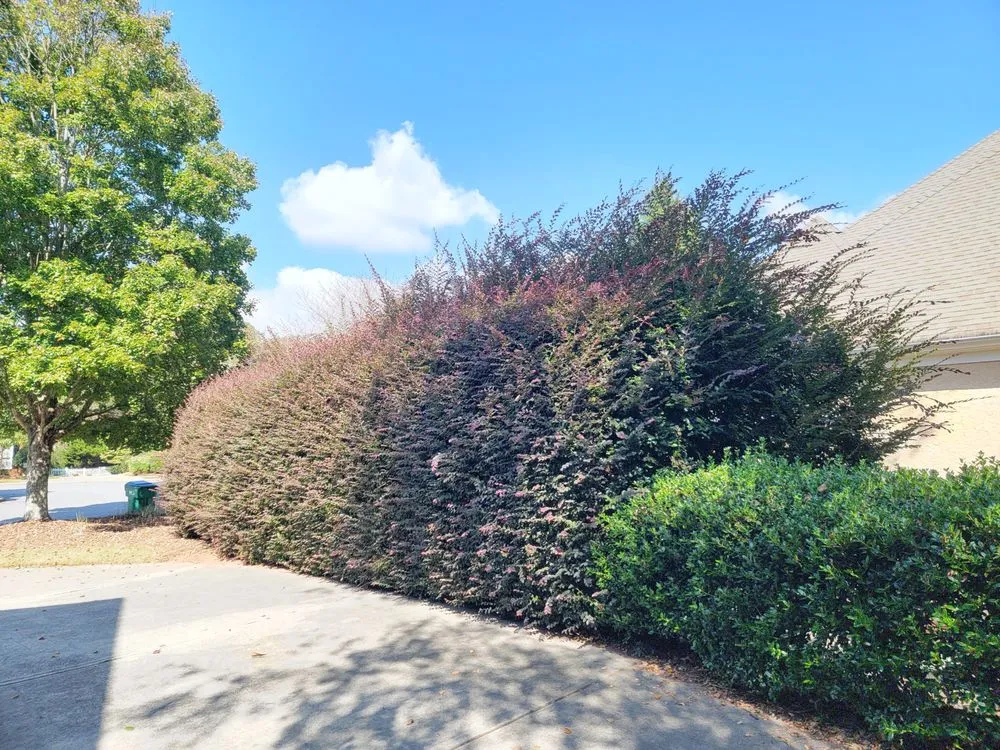 Affordable landscape installation with custom design in Sugar Hill, GA by Russell Landscape