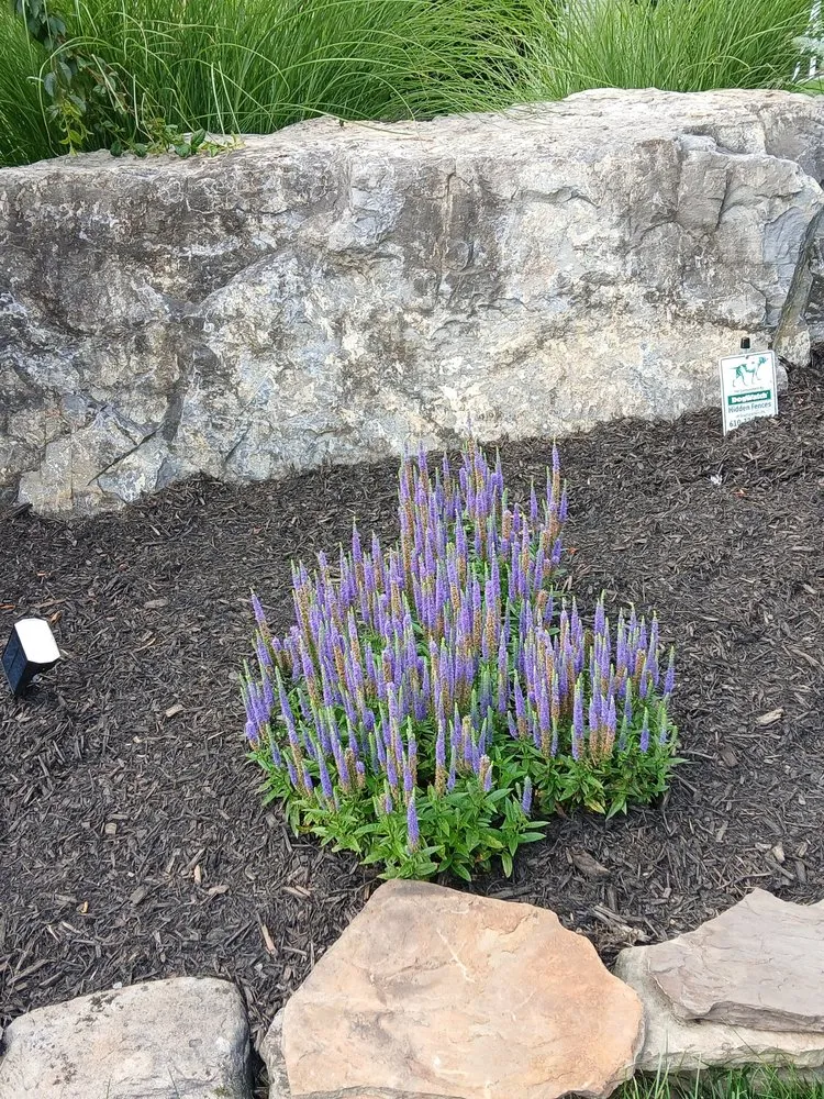 Trusted yard cleanup service experts serving Breinigsville, PA - Russell Landscaping