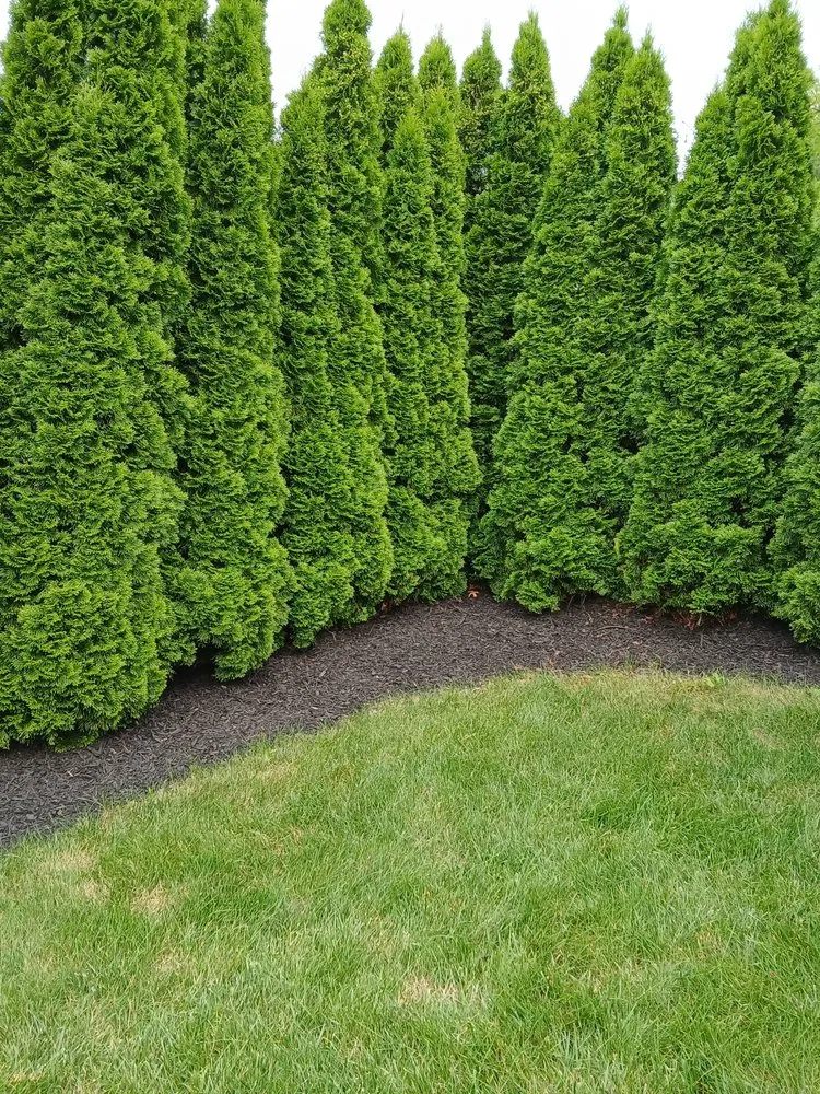 Affordable residential landscaping for homes in Breinigsville, PA by Russell Landscaping