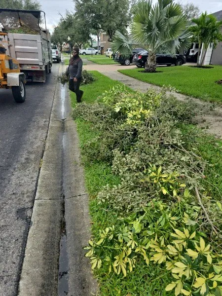 Reliable lawn mowing service experts serving Fort Myers, FL - Russell Myers Lawn Care and Landscaping Service