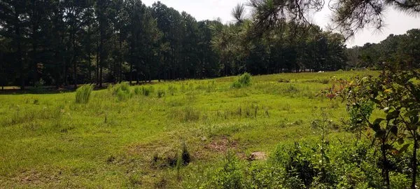 Russell Property Maintenance