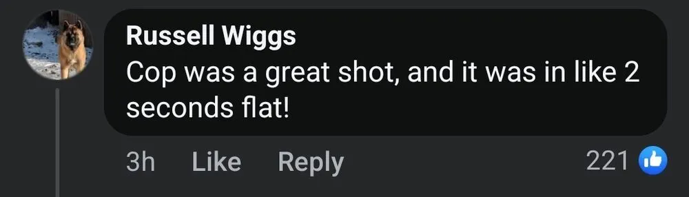 Local landscape installation in Little Rock, AR by Russell Wiggs Landscapes