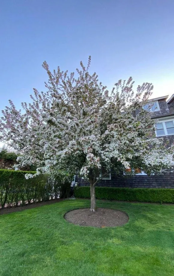 Top-rated landscape installation for residential properties in East Hampton, NY by Russells Bloom And Green