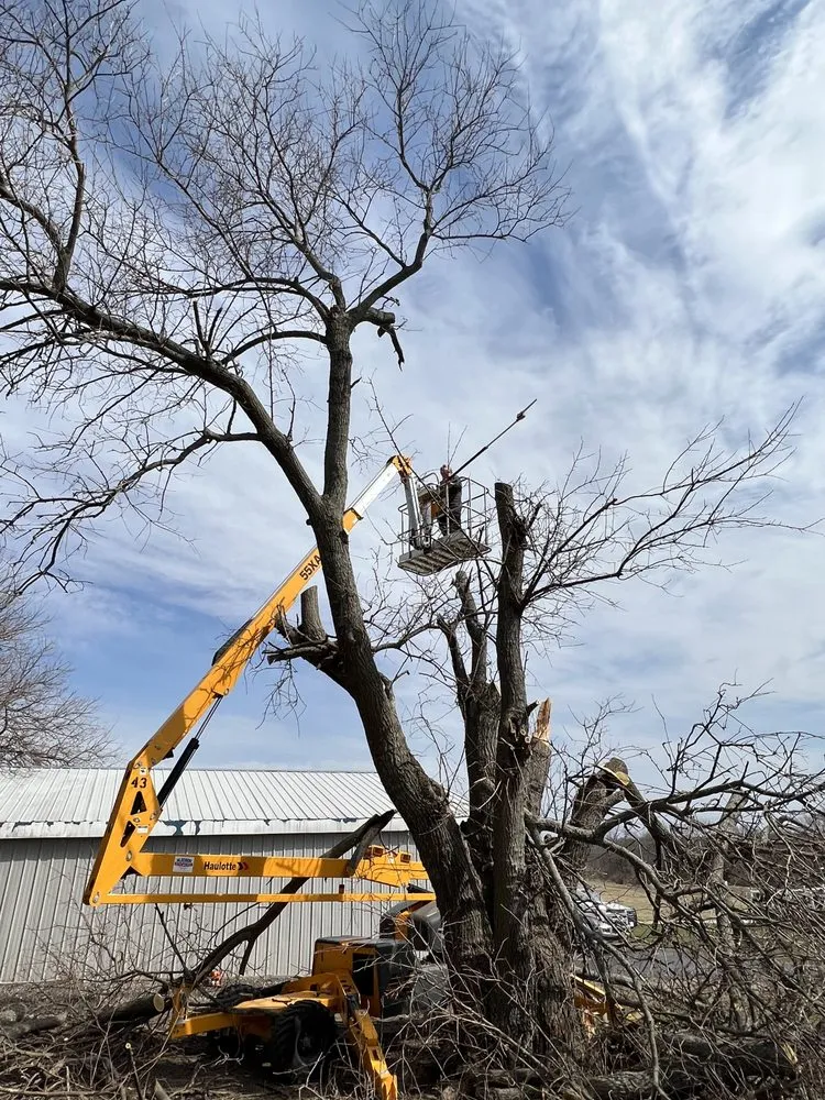 Reliable landscape design in Olathe, KS by Russell's Home Services