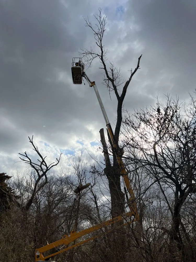 Affordable lawn mowing service in Olathe, KS - Russell's Home Services