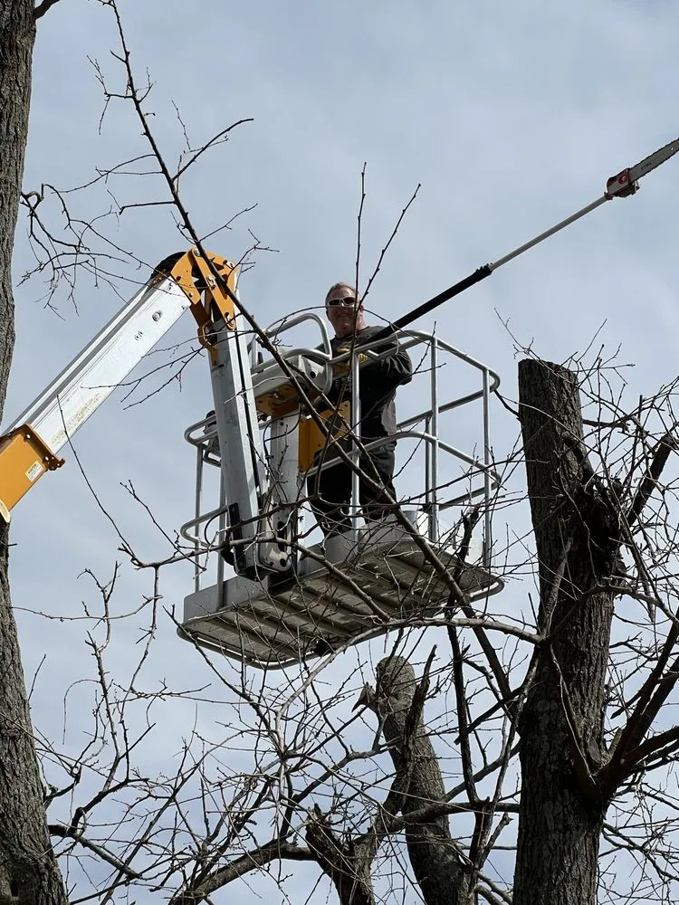 Local landscaping services in Olathe, KS by Russell's Home Services