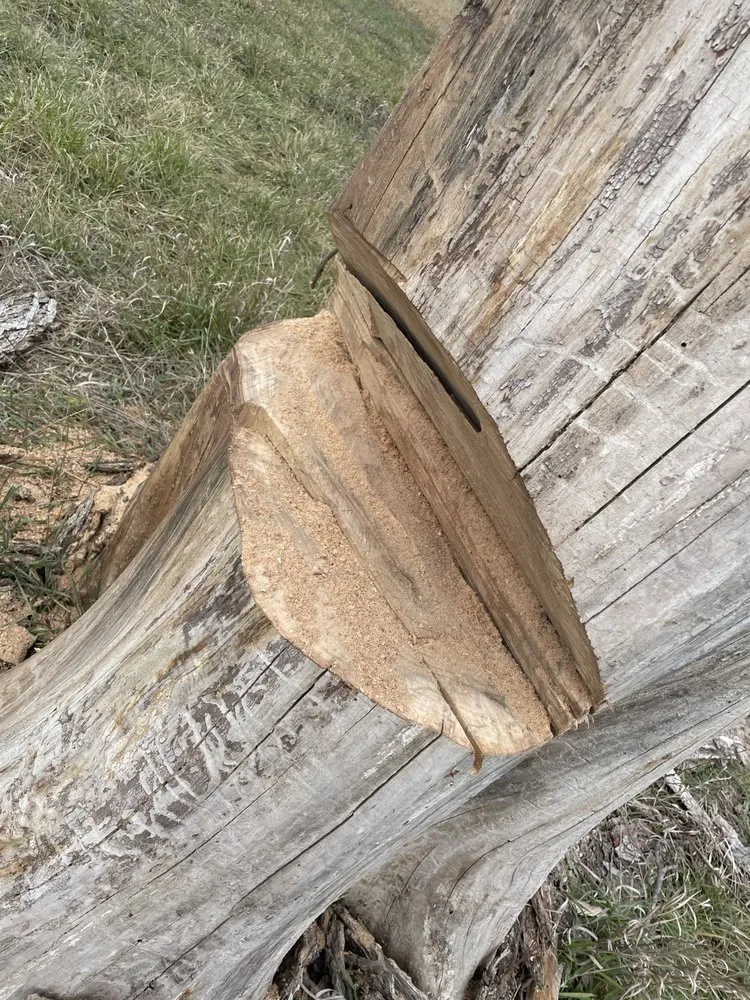 Top-rated landscaping services in Olathe, KS - Russell's Home Services