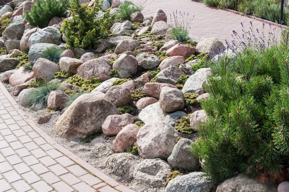 Local lawn mowing service for outdoor upgrades across Oviedo, FL - Russell's Irrigation & Landscaping