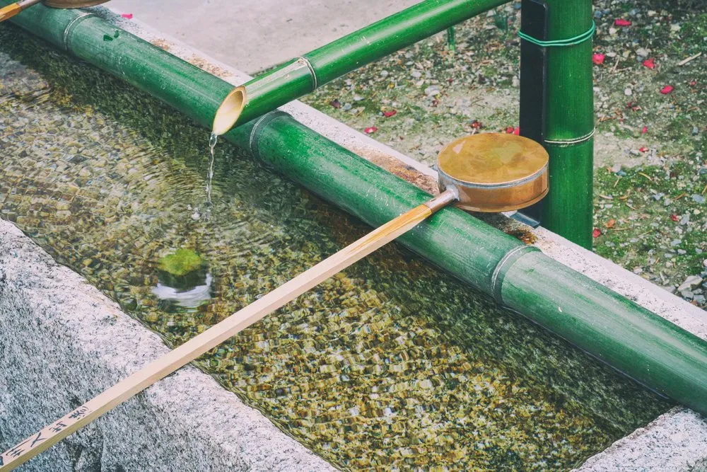 Top-rated yard maintenance near you in Oviedo, FL by Russell's Irrigation & Landscaping