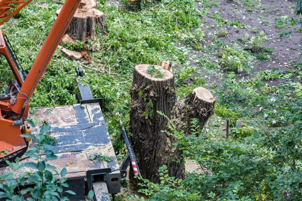 Custom landscape installation in Oviedo, FL by Russell's Irrigation & Landscaping