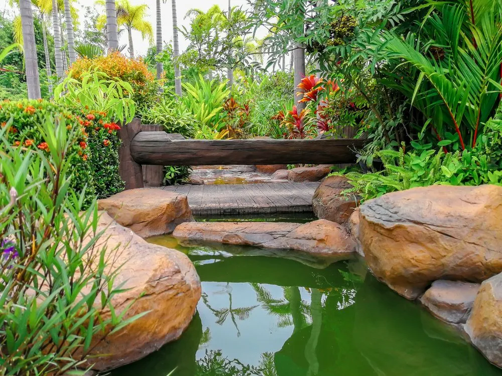 Trusted landscaping services for beautiful yards in Oviedo, FL by Russell's Irrigation & Landscaping