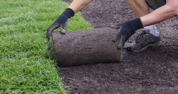 Affordable landscaping services in Oviedo, FL by Russell's Irrigation & Landscaping