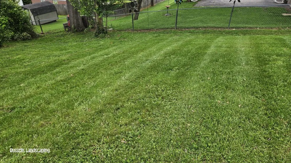 Reliable landscaping services in Frankfort, KY - Russells Landscaping