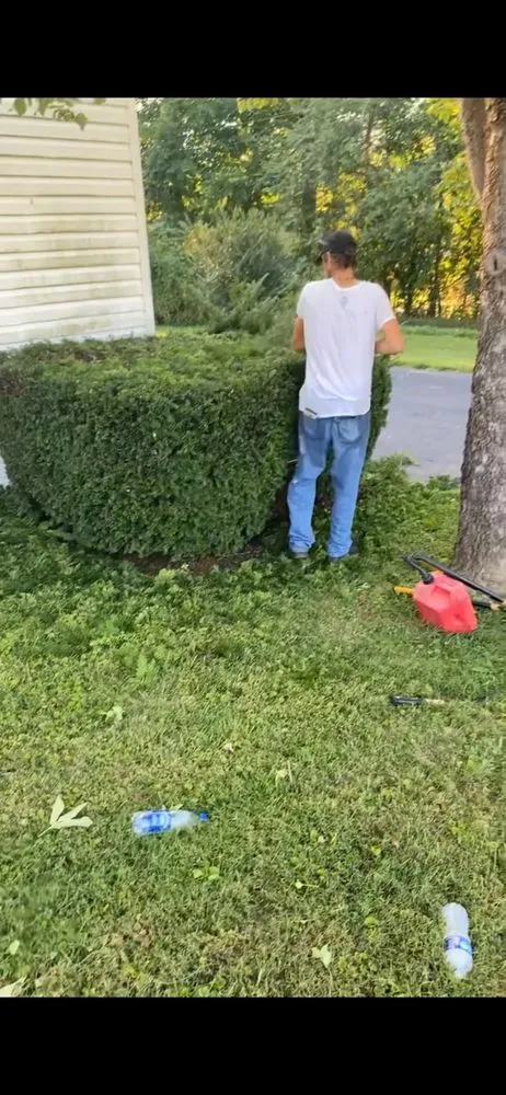 Professional landscaping services for homes across Rose Hill, VA - Russell's Landscaping