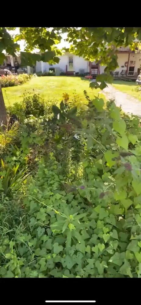 Trusted outdoor landscaping in Rose Hill, VA - Russell's Landscaping