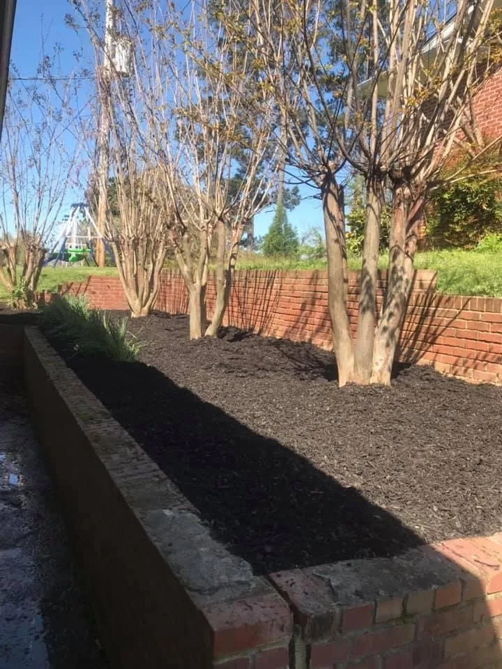 Affordable lawn care service near you across Tupelo, MS - Russell’s Lawn Service