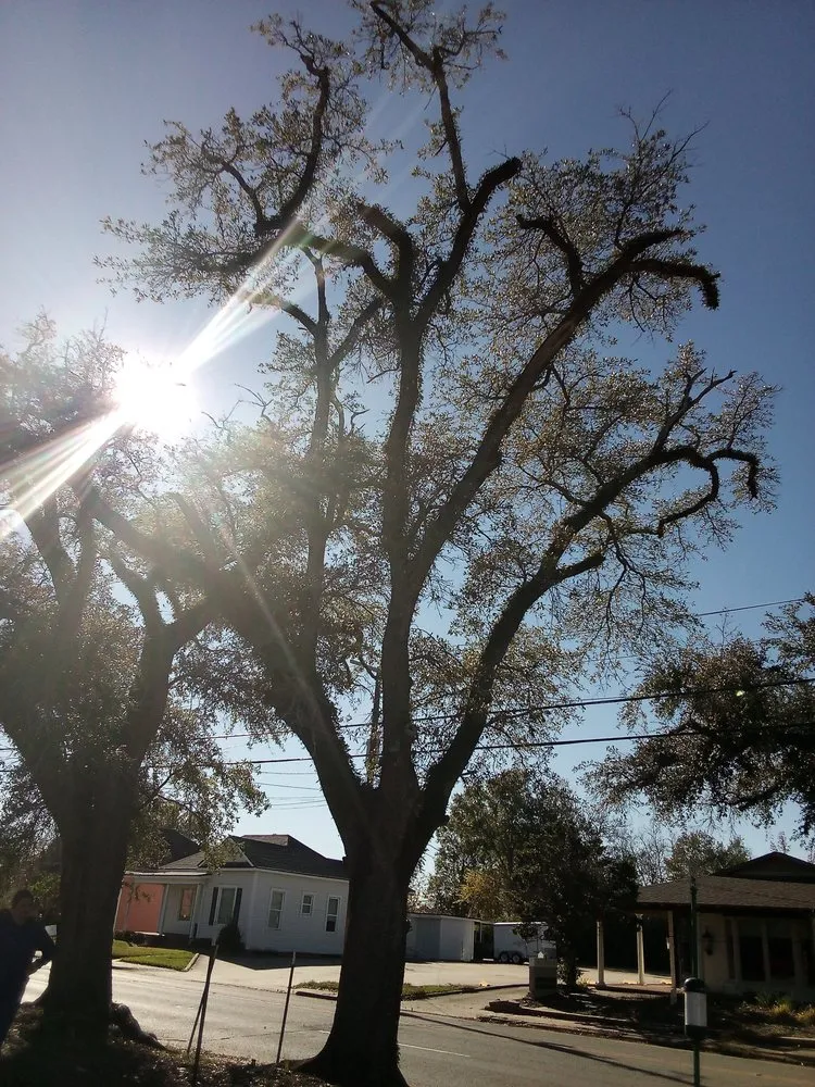 Trusted lawn care service experts serving Lake Charles, LA - Russo Scrapman Debris Removal